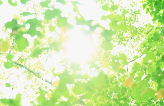 相続で取得した空き家の売却に係る税金の特例